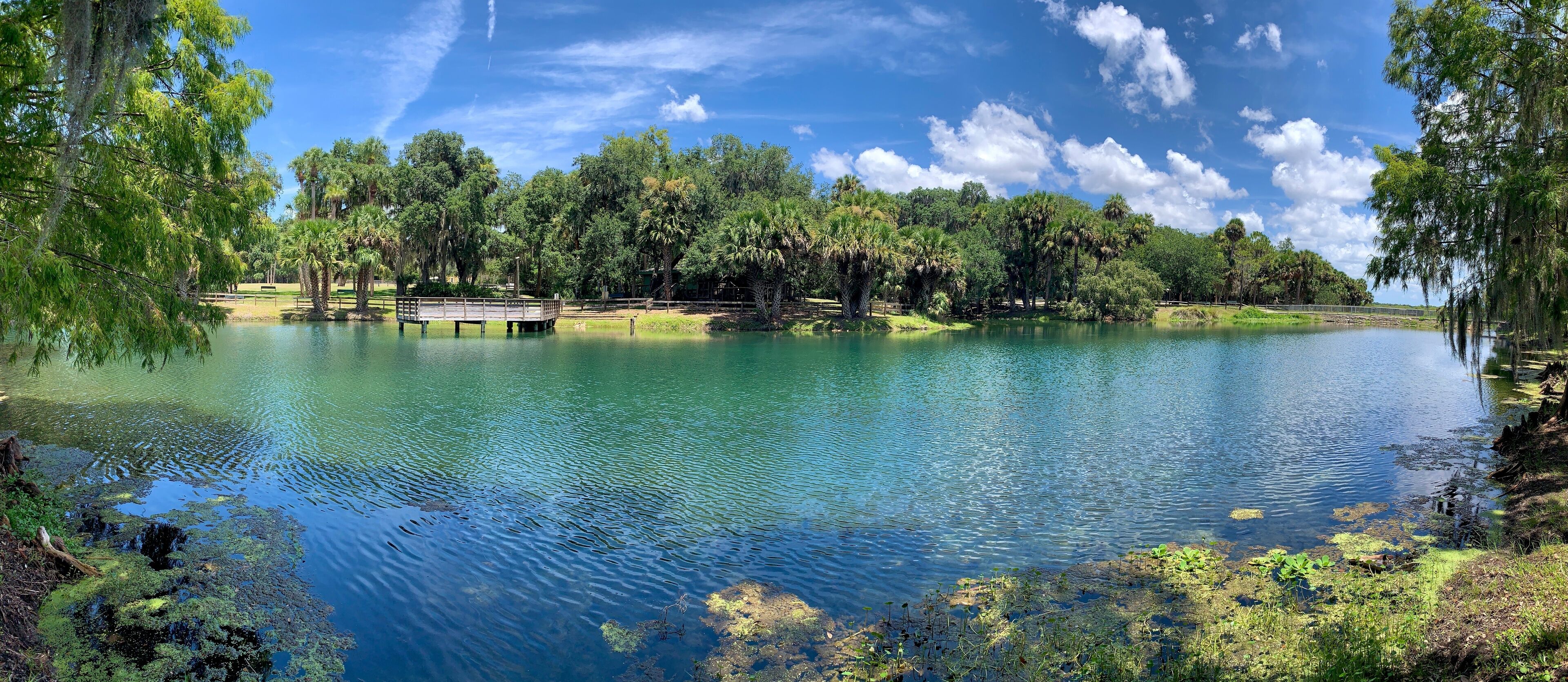 A calm lake surrounded by lush greenery and a wooden dock.