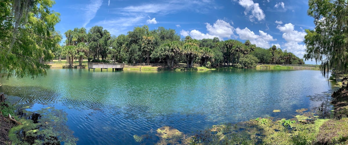 A calm lake surrounded by lush greenery and a wooden dock.