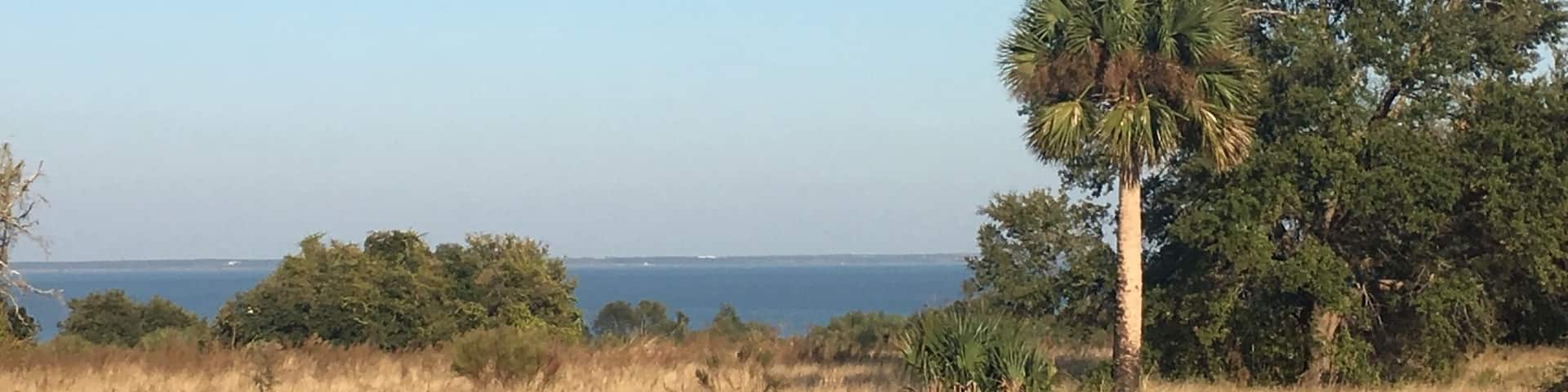 Views of Lake Apopka