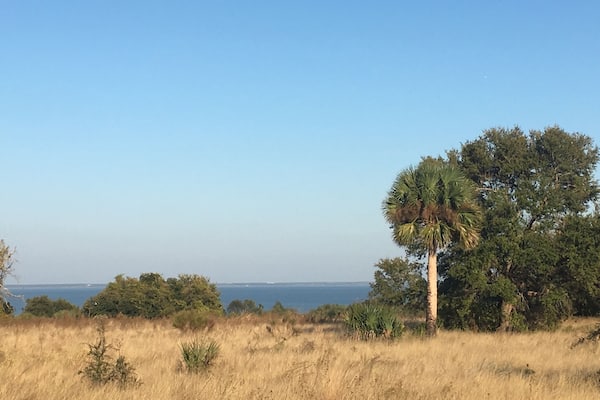 Views of Lake Apopka