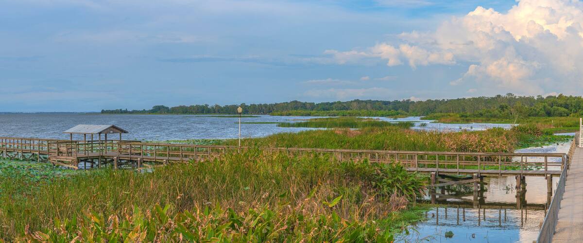 Panoramic view of Lake Apopka and nature Florida.