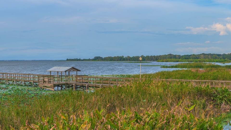 Panoramic view of Lake Apopka and nature Florida.