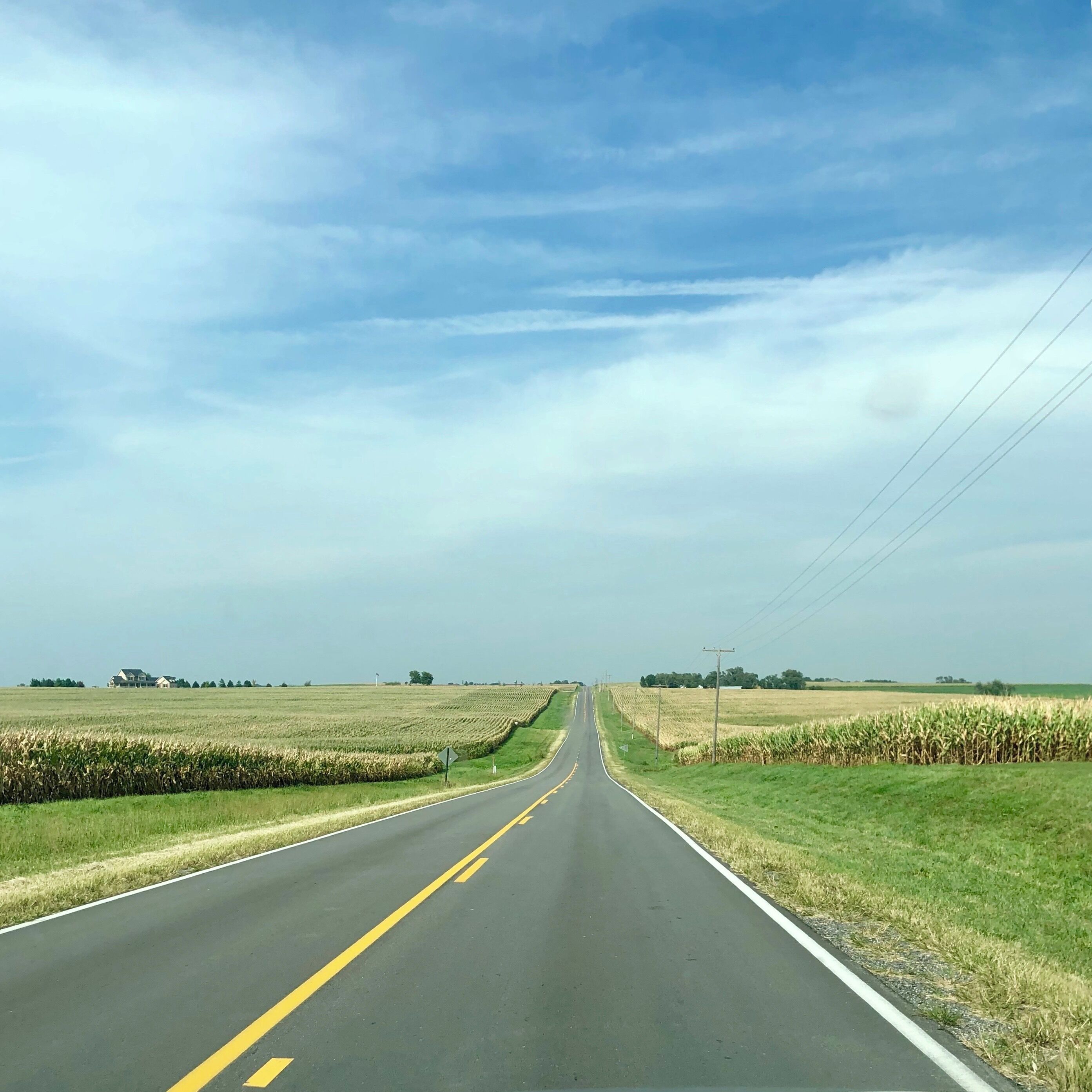A straight road flanked by fields of corn under a clear sky.