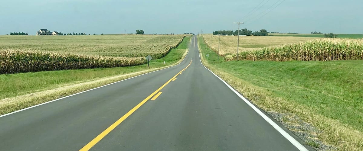 A straight road flanked by fields of corn under a clear sky.