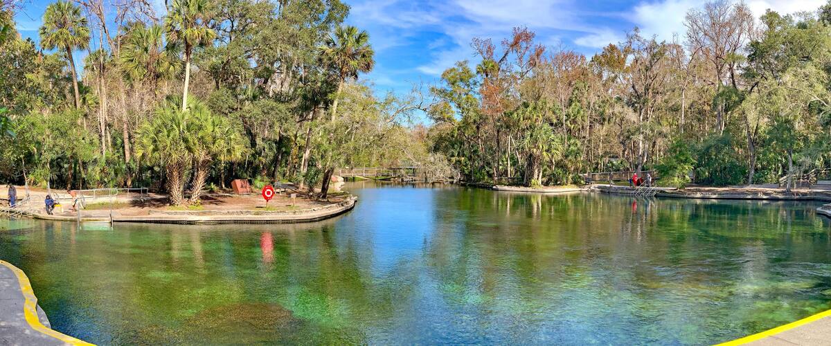 A clear pond surrounded by trees and a walking path.