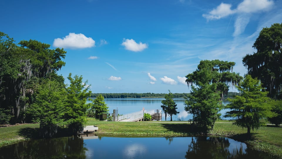A calm lake with a dock, surrounded by trees and a clear blue sky.