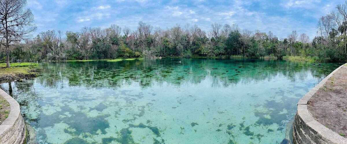 Clear blue spring waters surrounded by trees in winter, Alexander Springs, Ocala National Forest, Florida