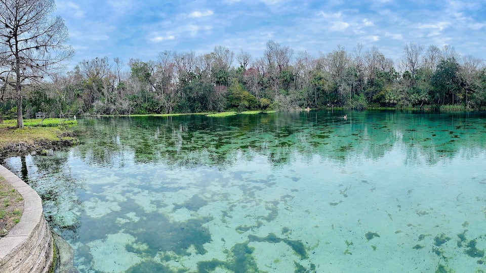 A clear lake surrounded by trees and a concrete walkway.