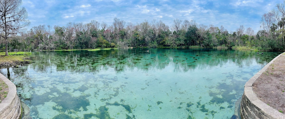 A clear lake surrounded by trees and a concrete walkway.