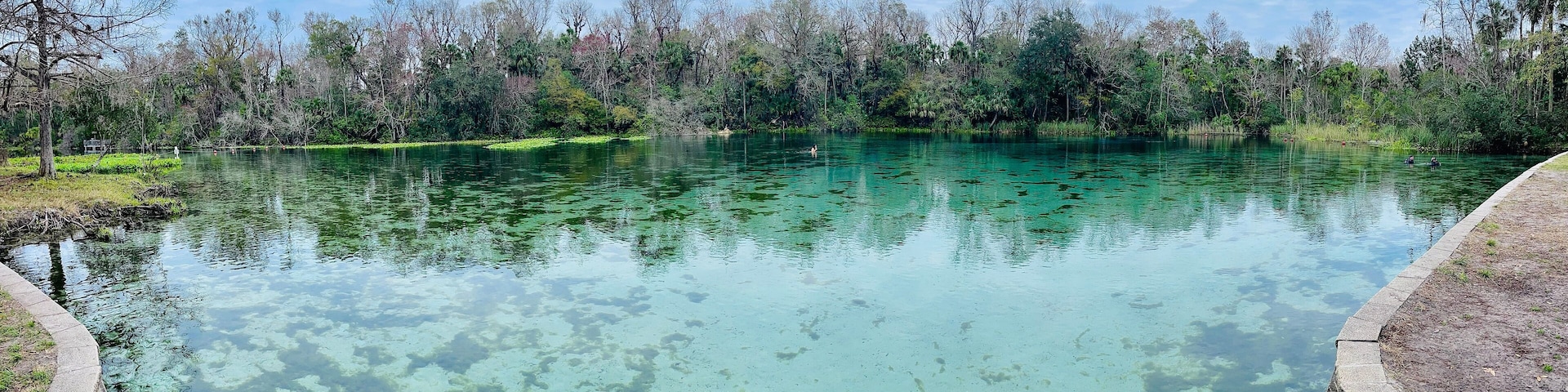 A clear lake surrounded by trees and a concrete walkway.