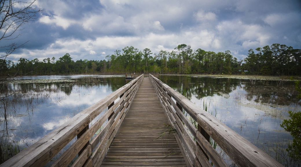 Pier in Geneva Wilderness Area in Geneva, Florida