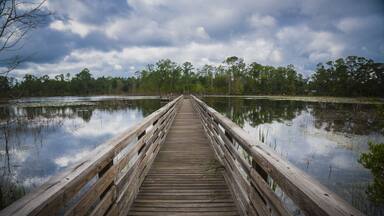 Pier in Geneva Wilderness Area in Geneva, Florida
