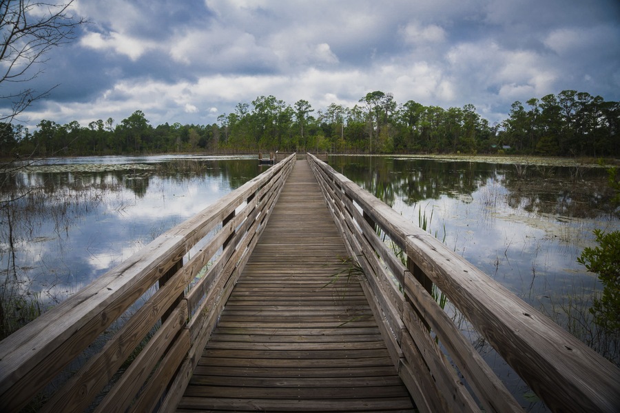 Pier in Geneva Wilderness Area in Geneva, Florida