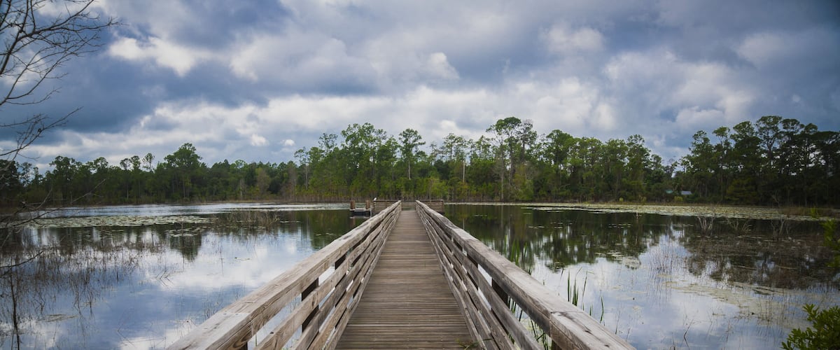 Pier in Geneva Wilderness Area in Geneva, Florida