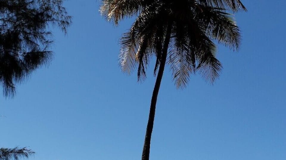 We visited Luqillo beach after a morning hiking in El Yunque Rainforest. It was about 10 minutes or so from the rainforest and right off of the main road (super easy to get to). We went in the middle of a weekday and were excited to find the beach wasn't very busy. There are a lot of kiosks to buy food, snorkel masks, sunglasses, etc. but there are quiet areas too as we found here. The water was so clear, warm and calm. Pure bliss!