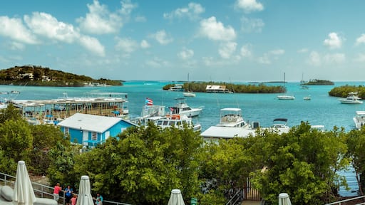 Puerto Rico the Enchanted Isle