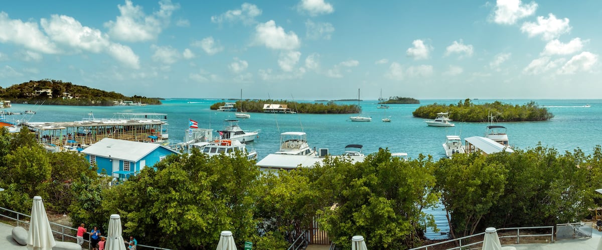 A coastal town with a marina, boats, and lush greenery.