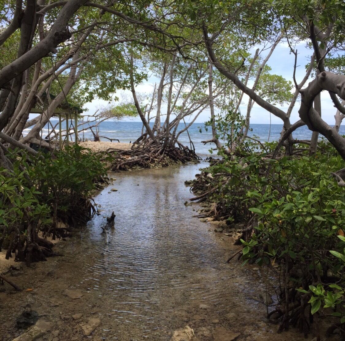 La Parguera in Lajas, is a small fishing town with Bioluminescent Bay. 