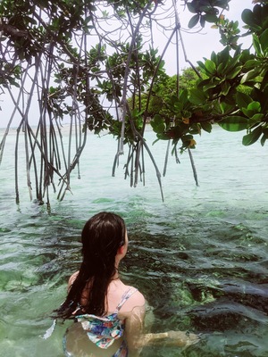 You can rent a boat in town and putter and swim among the mangroves. The #nature is absolutely breathtaking, the water is warm, and the islands are perfect for shallow swimming and wading all day. The boat shops open at 8am and are first come first served. Get there early to secure a boat and beat the crowd.