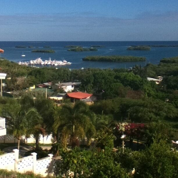 Looking the mata la gata isle. 