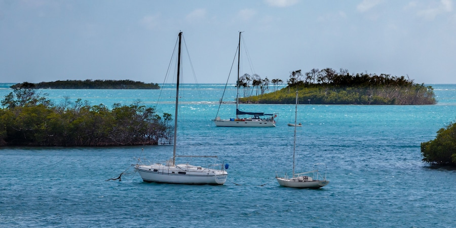 Puerto Rico the Enchanted Isle