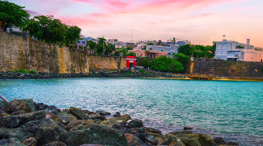 ๋น์ผ ๋ง๋ฅด