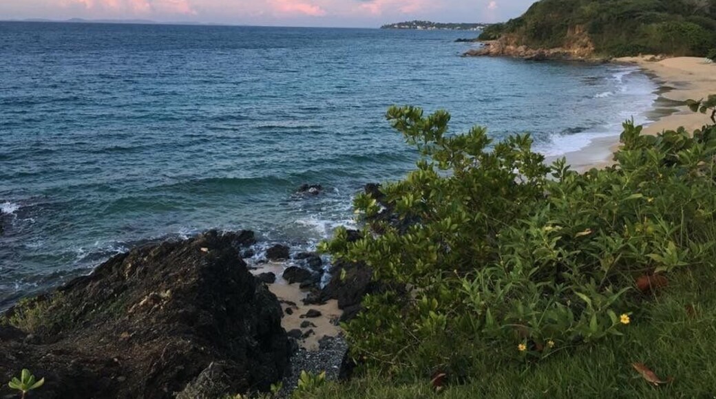 View of the beach located at The W Resort Vieques Island, Puerto Rico.