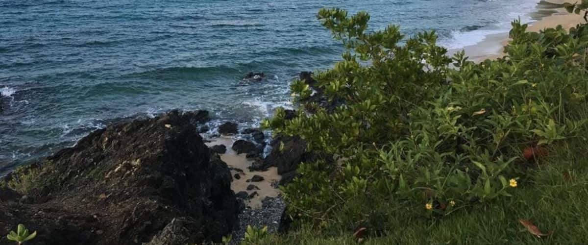 View of the beach located at The W Resort Vieques Island, Puerto Rico.