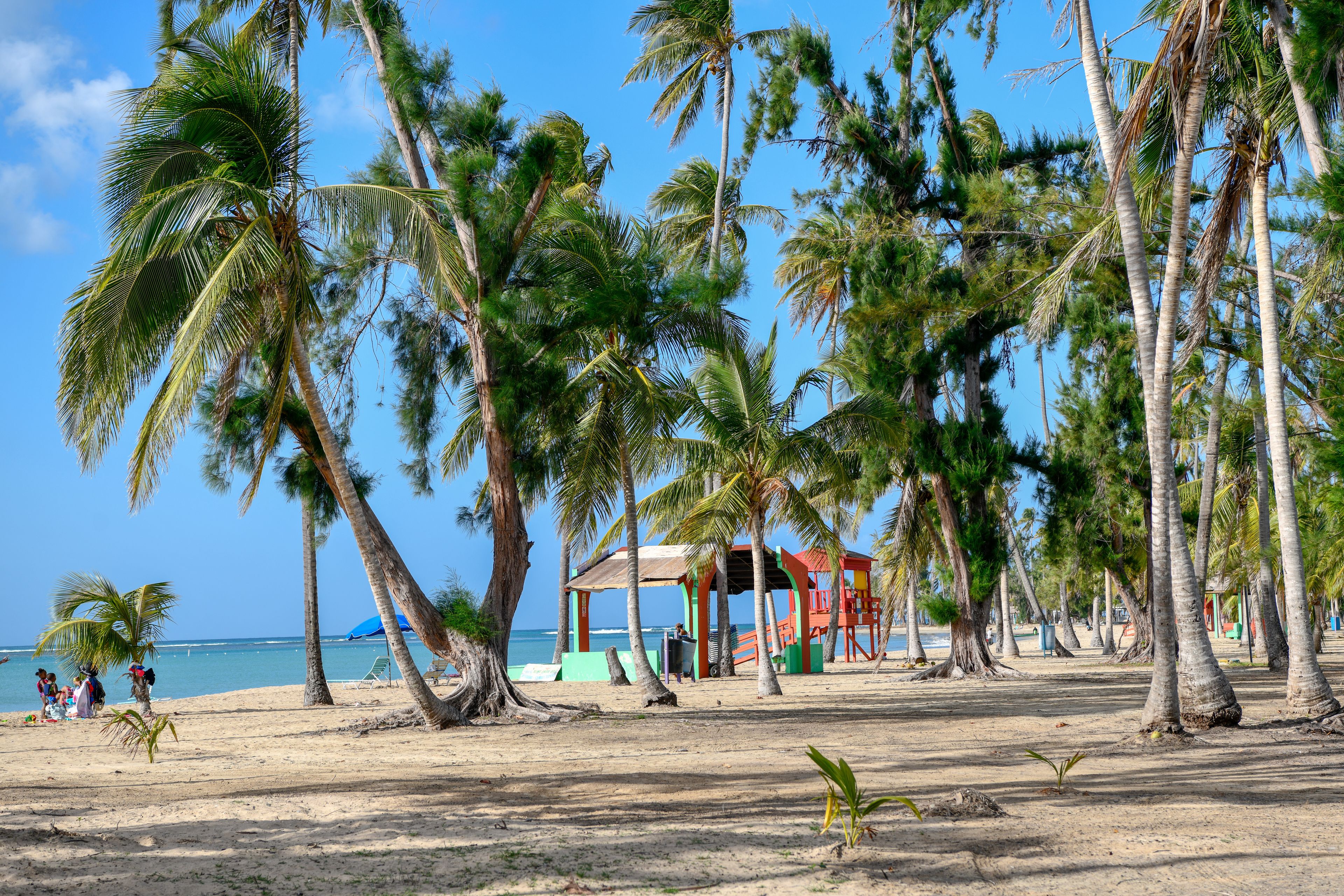 Tropical Beach in Puerto Rico