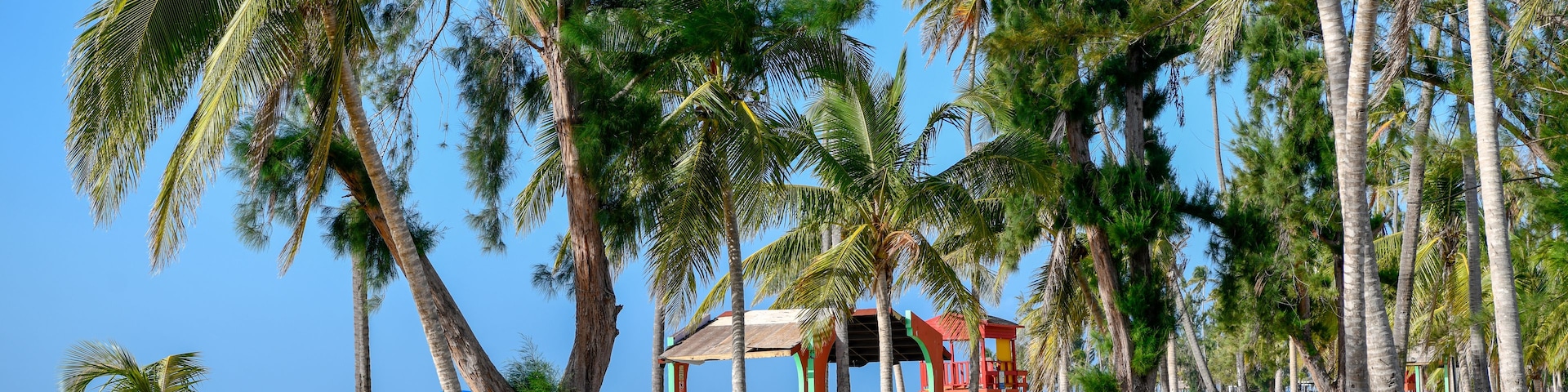 Tropical Beach in Puerto Rico