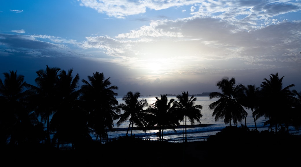 Pôr do sol sobre uma praia, com palmeiras recortadas contra o céu.