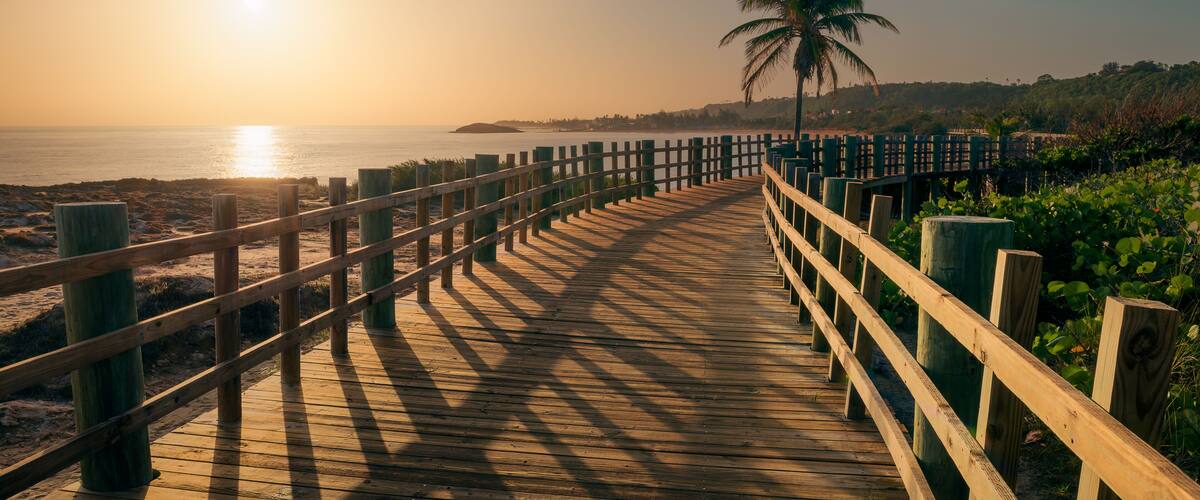 A wooden boardwalk leading to a beach with a palm tree and ocean in the background.
