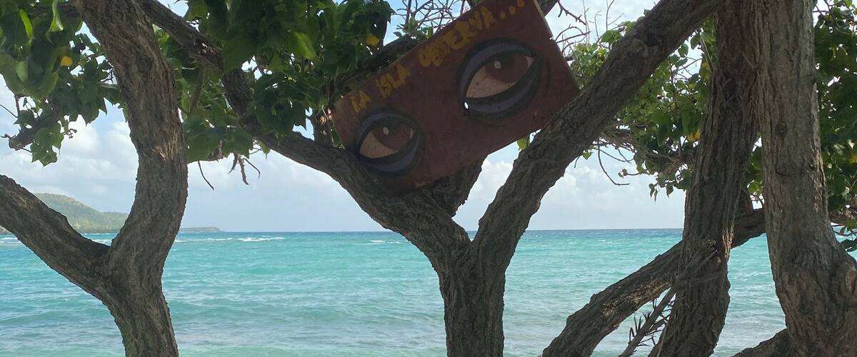 Love the eye in the tree.  Takes a minute to notice because It blends in
