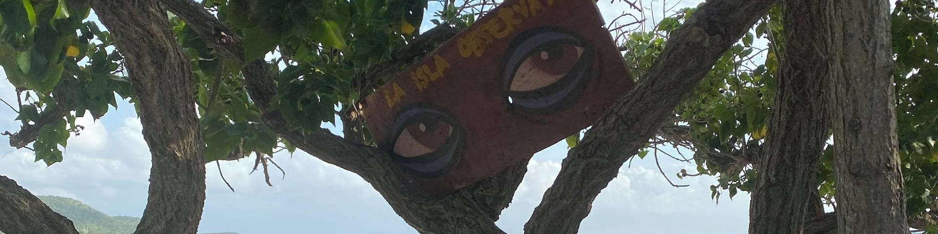 Love the eye in the tree. Takes a minute to notice because It blends in