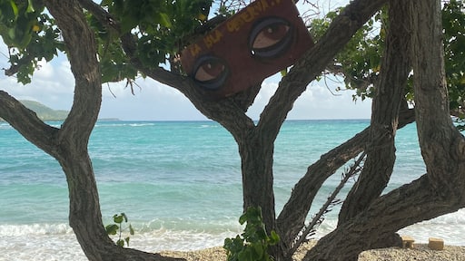 Love the eye in the tree. Takes a minute to notice because It blends in