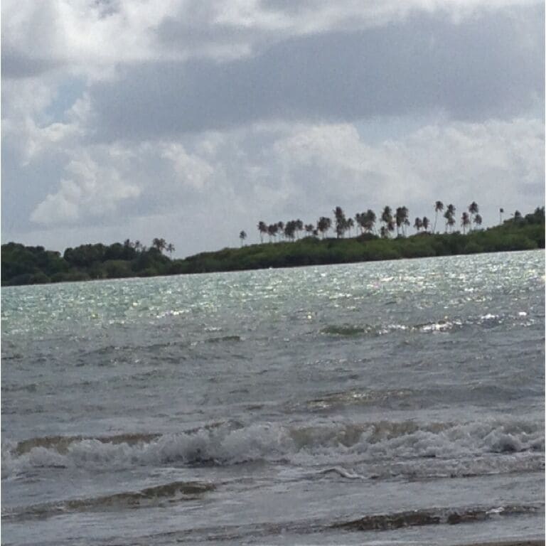 Cayo Santiago Also now as Isla Monito (Little Monkey Island) is part of a University experiment to watch monkey's!! You can take a boat and have a trip a see it!!