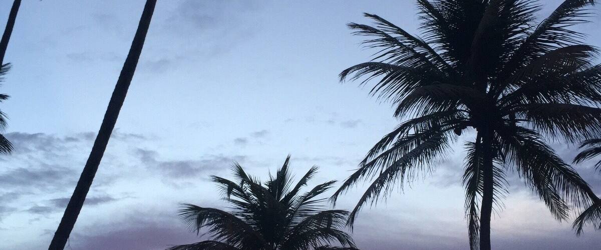 View of Cayo Santiago AKA(Monitos) from Punta Santiago Beach, this little island is the home of thousands of monkeys which scientist used to check their behavior,
