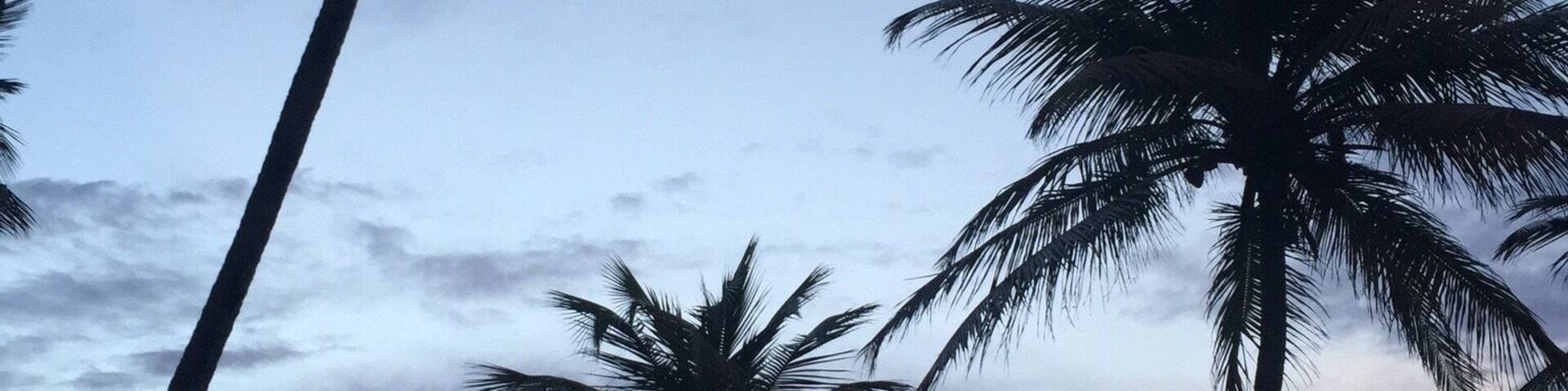 View of Cayo Santiago AKA(Monitos) from Punta Santiago Beach, this little island is the home of thousands of monkeys which scientist used to check their behavior,