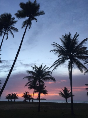View of Cayo Santiago AKA(Monitos) from Punta Santiago Beach, this little island is the home of thousands of monkeys which scientist used to check their behavior,