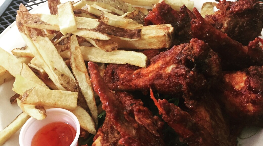 Honey Chicken Wings with Home made French Fries! Are so big they look like Turkey Wings!