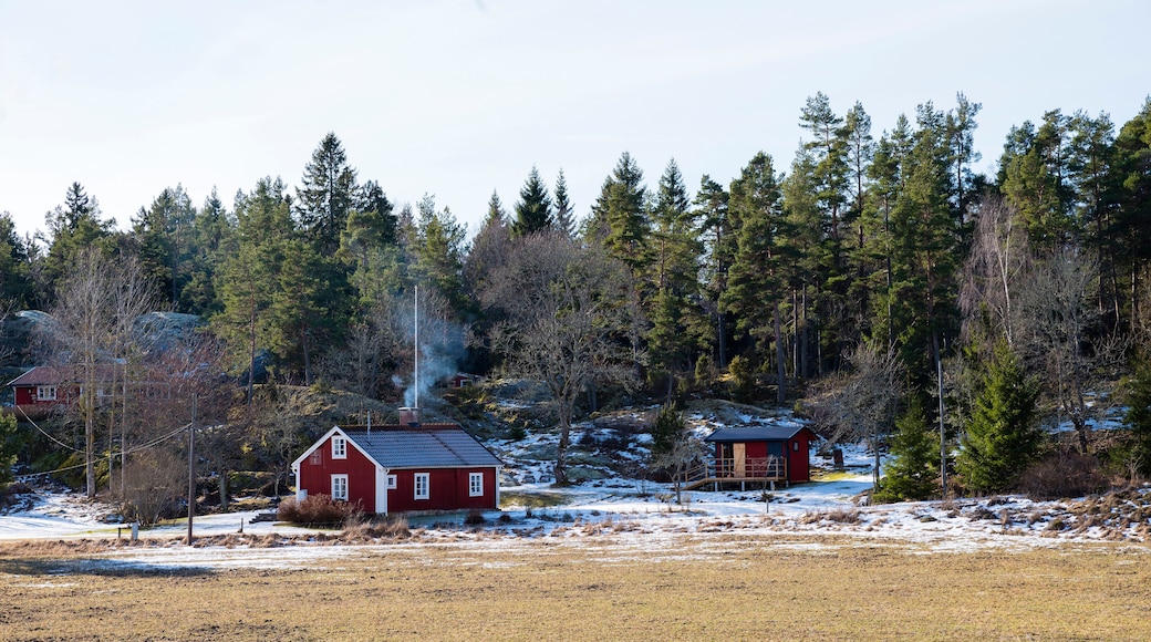Cabins and forest in snow