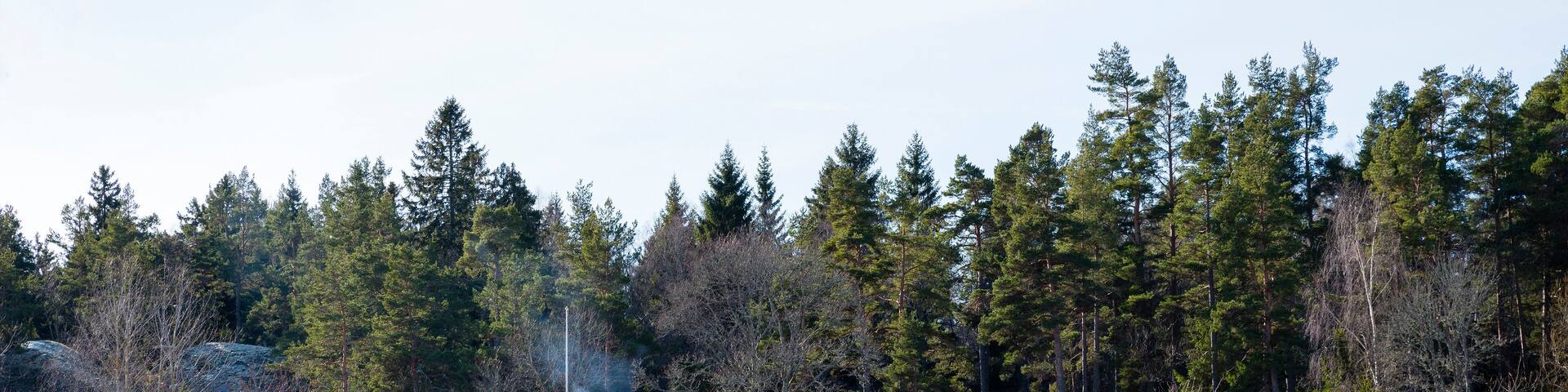 Cabins and forest in snow