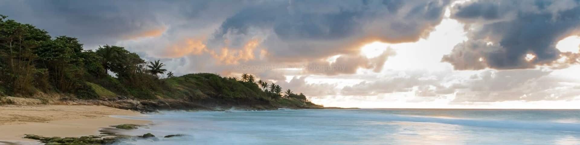 A beach with rocky shoreline, palm trees, and a cloudy sky.