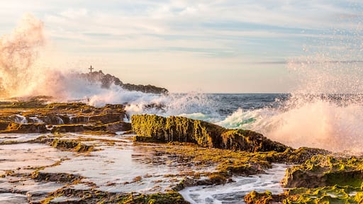 Una costa rocosa con olas rompiendo contra las rocas.