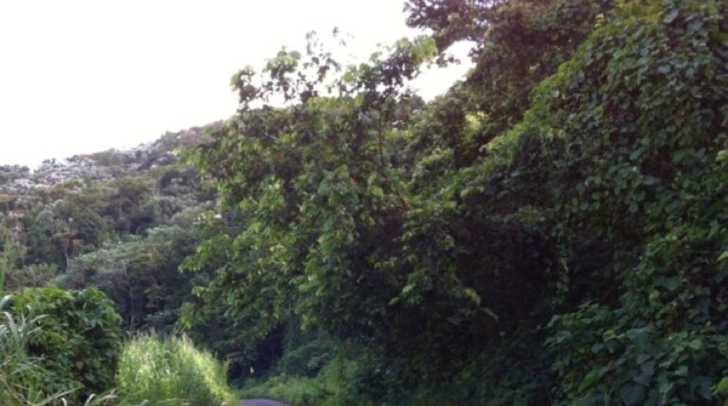 Great for exploration!