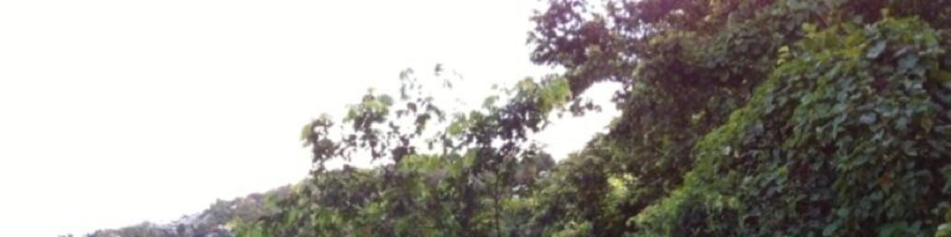 Great for exploration!