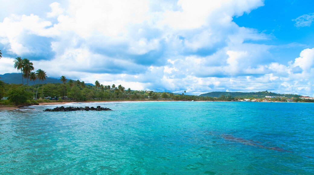 San Juan, Puerto Rico - Calm water is seen in the bay of a tropic island. Trees and beach can be seen in the background.