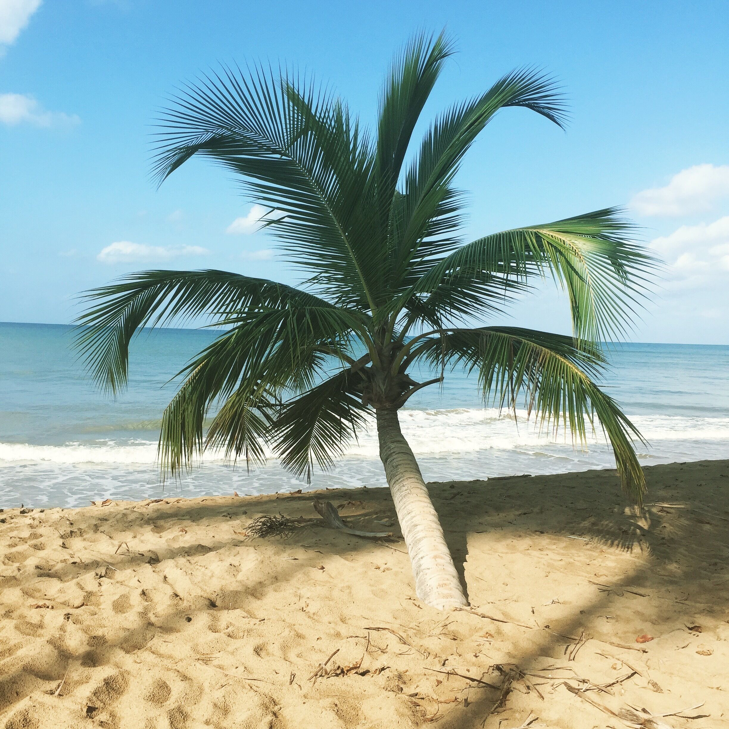 I loved having this private beach all to ourselves 😊