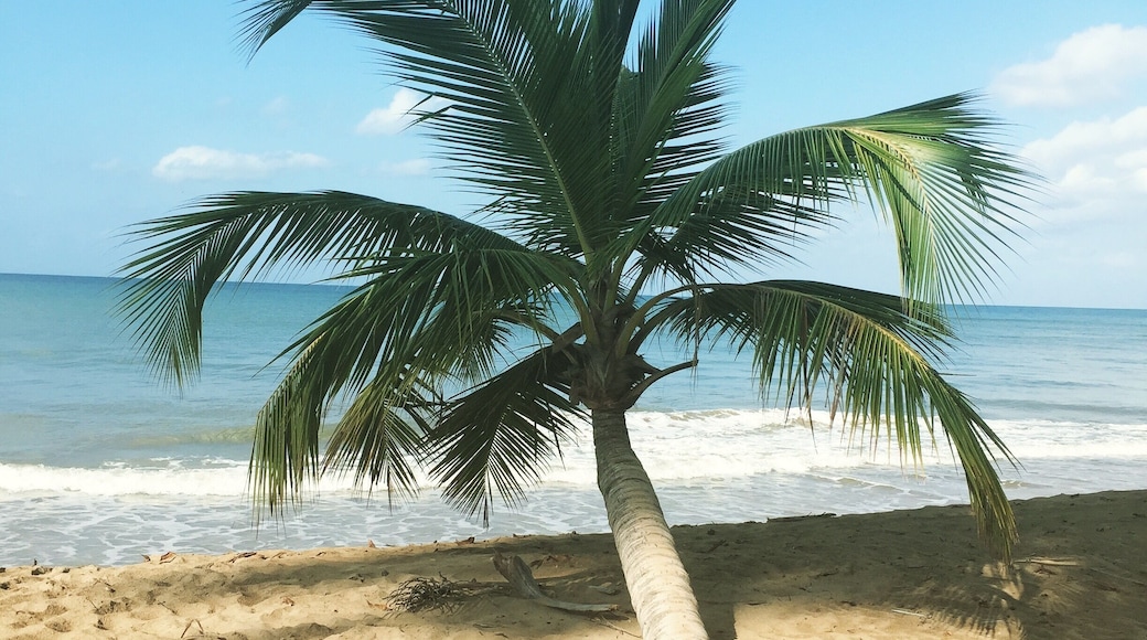 I loved having this private beach all to ourselves 😊
