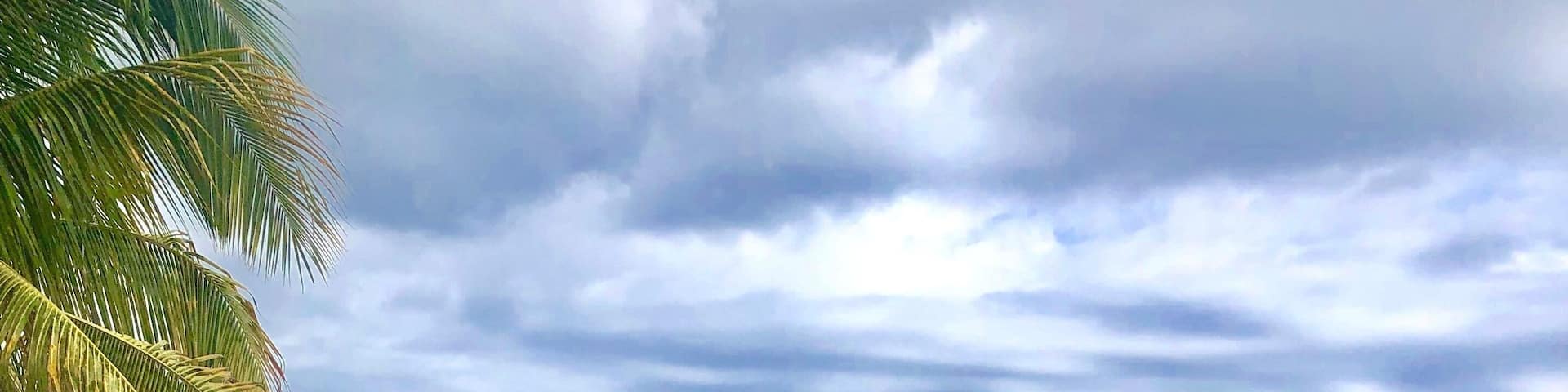 One picture! Thousands words! #Puertorico #Isladelencanto #Rincon